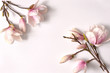 ramka kwiatowa,magnolia, kwiat, klimat, magnolia, drzew, kwiat, biała, galąź, kwiatowy, kwitnienie, flora, bliska, jardin, feuille, pora roku, pąki magnolii, biały, tło z magnolią, ozdoba, ornament