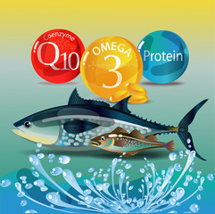 Canvas Print - Microelements in fish. Coenzyme, omega, proteins.