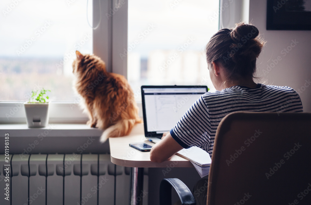 Girl student freelancer working at home on a task, the cat is sitting on the window - obrazy, fototapety, plakaty 