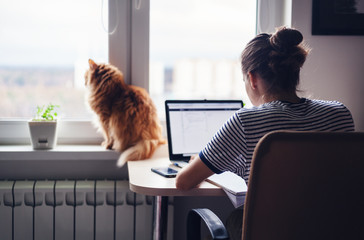 Girl student freelancer working at home on a task, the cat is sitting on the window