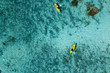 Canoe and kayaks in Polynesia Cook Island tropical paradise aerial view