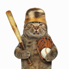 The cat in a golden cap holds a baseball bat, glove and ball. White background.