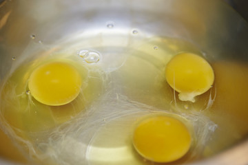 Wall Mural - Eggs in bowl 