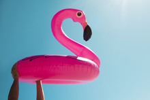 Man With A Pink Flamingo Swim Ring