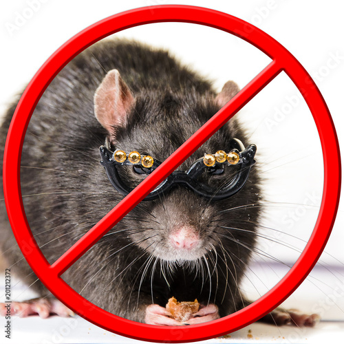 the rat is banned. crossed out with the NO sign Buy this stock photo