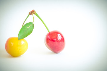 Wall Mural - Vintage tone, studio shot two fresh picked red and Rainier cherries isolated on white. Close-up organic cherry stem with leaf. Raw and juicy fruit background with clipping path and copy space