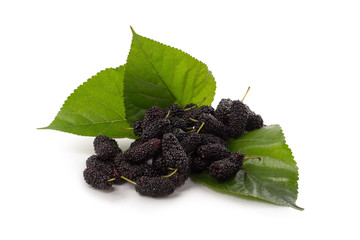 Poster - Mulberry fruit and Mulberry leaves, Mulberry isolated on white background