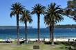Balmoral beach with palm trees. Entrance of Sydney Harbour with North Head and South Head in the background.