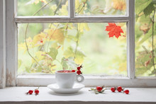 Tea With Berries Of A Dogrose On A Windowsill