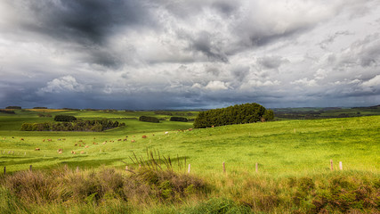 Canvas Print - Victoria Australie