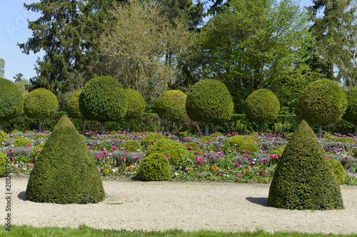 Laurier Du Portugal Prunus Lusitanica If Commun Taxus Baccata Parc De Sceaux Domaine Departemental De Sceaux 92 Hauts De Seine Buy This Stock Photo And Explore Similar Images At Adobe Stock