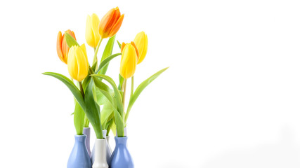  Tulpen in einer Vase mit Textfreiraum