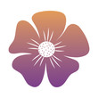 © djvstock - flower icon over white background, colorful design. vector illustration