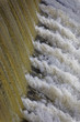 © Brian - Water rushing out of a dam