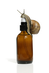 Wall Mural - Snail slime. snail mucin Product.cosmetic Serum with Snail Extract a brown bottle and a large snail on a white background.Organic Cosmetics for  skin