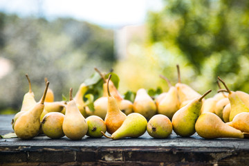 Poster - Autumn pears on wood