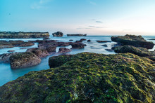 Small Rocks Covered By Thick Green Seaweed In The Shore Of The Indian Ocean In Bali, Indonesia.
