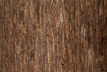 Bark Texture Wood Texture For Background Space For Text