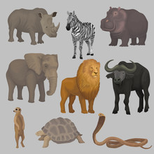 Wild African Animals Set, Hippopotamus, Elephant, Giraffe, Rhinoceros, Turtle, Buffalo, Zebra, Lion, Snake Vector Illustrations