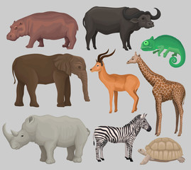 Wall Mural - wild african animals set, hippopotamus, hippopotamus, chameleon, elephant, antelope, giraffe, rhinoc