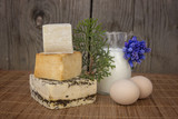 Fototapeta Lawenda - Table decoration of different flavors of cheese