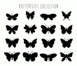 Butterflies collection with different black shapes isolated on white