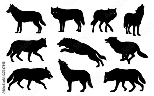 Photo  wolf silhouettes 2018