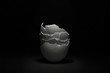 © RooM The Agency - Close up of broken eggshells against black background