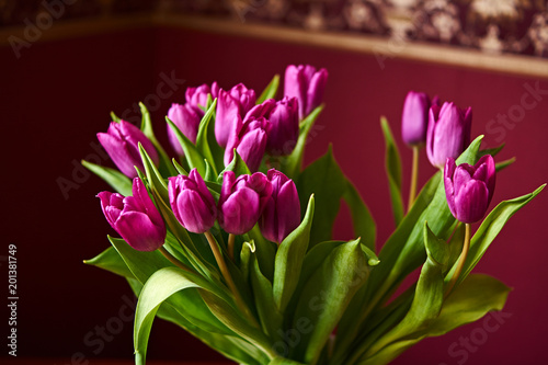 Plakat Liliowy tulipanowy pączek. Makro- / Nieotwarty lily pączkowy tulipanowy zakończenie. Rosja, Moskwa, wakacje, prezent, nastrój, przyroda, kwiat, roślina, bukiet, makro
