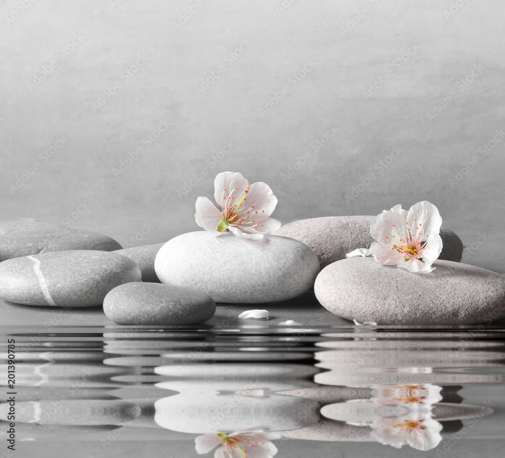 flower and stone zen spa on grey background - obrazy, fototapety, plakaty 