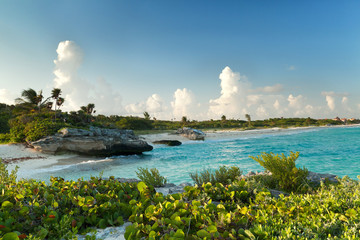 Wall Mural - Idyllic beach of Caribbean Sea in Mexico