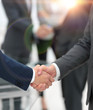 © ASDF - Two businessmen shaking hands with colleagues  on background.