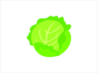 Wall Mural - Green cabbage vegetable isolated. cabbage for farm market, vegetarian salad recipe design. Vector illustration