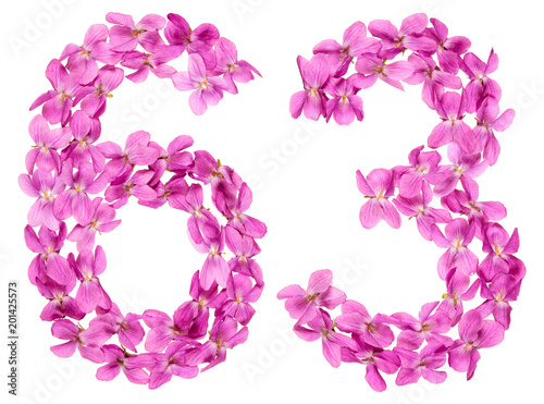 Poster Arabic numeral 63, sixty three, from flowers of viola, isolated on white backgro