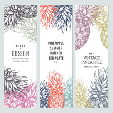 Tropical Pineapple Leaves. Jungle Banner