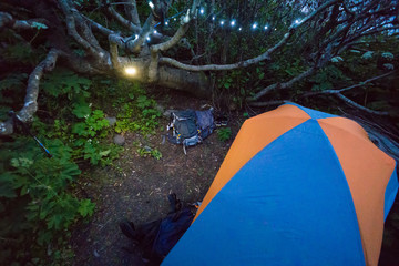 Wall Mural - Backpacking tent sits under a tree on the Lost Coast backpacking trail in California at sunset