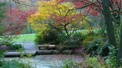 Wall Mural - amazing lake in the autumn park. nature video. park landscape. washington park arboretum, seattle, w