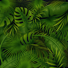 Wall Mural - Tropical forest background