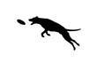 Silhouette of Real Looking Dog Jumping and Catching a Disc