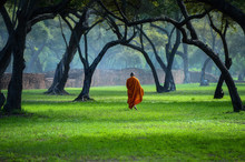 Buddhist Monks Walking Across A Field In Mist At Sunrise, Thailand