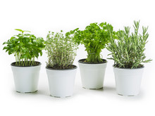 Herbs In Pots Over White Background
