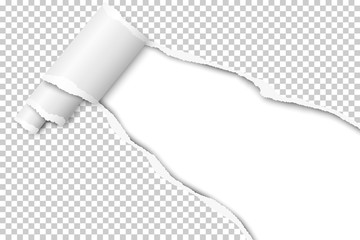 Wall Mural - Diagonally snatched middle of transparent paper with torn edges, shadow, paper curl and white background of resulting hole. Vector template paper design.