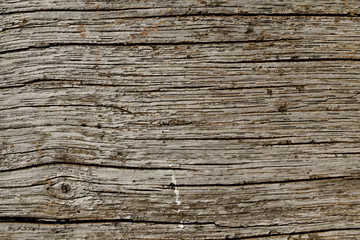 Wall Mural - close up old wooden texture background,Wooden texture, empty wood background