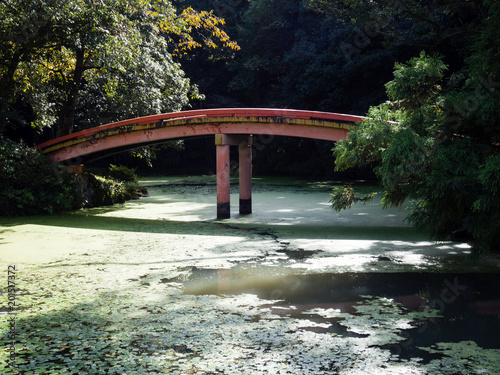 Fotografie, Obraz Sunlit Japanese garden with green pond and red arching bridge at Usa shrine in O