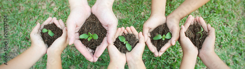Fotografía Children hands holding sapling in soil surface plant, spring or summer time, Mul