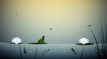 Frog Lives In The Pond, The Frog Hunt Butterfly On The Leaves Of The Lily, Pond Scene,