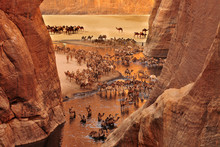 The Guelta D'Archei Located In The Ennedi Plateau, In North-eastern Chad
