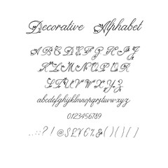 Wall Mural - Calligraphy alphabet. Decorative handwritten brush font. Vector letters. Wedding calligraphy. ABC for your design