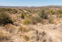 Rocky Arizona Desert