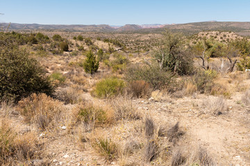 Wall Mural - Rocky Arizona desert